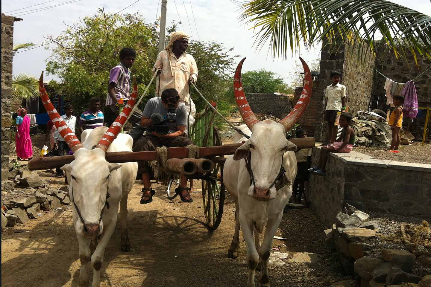 Ox cart India Preston Street Films
