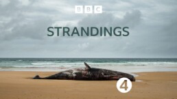Cover-Artwork-from-BBC