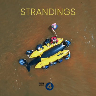 Strandings, Radio 4 documentary commission. Strandings, Radio 4 documentary commission. Aerial shot of a pretend whale being rescued from the Radio 4 documentary Strandings